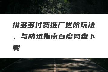 拼多多付费推广进阶玩法，与防坑指南百度网盘下载