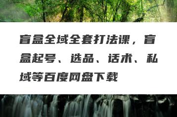 盲盒全域全套打法课，盲盒起号、选品、话术、私域等百度网盘下载