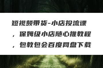 短视频带货-小店投流课，保姆级小店随心推教程，包教包会百度网盘下载