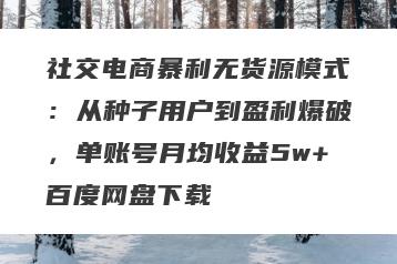 社交电商暴利无货源模式：从种子用户到盈利爆破，单账号月均收益5w+百度网盘下载