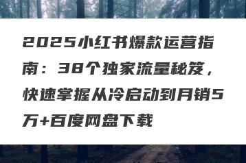2025小红书爆款运营指南：38个独家流量秘笈，快速掌握从冷启动到月销5万+百度网盘下载