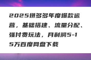2025拼多多年度爆款运营，基础搭建、流量分配、强付费玩法，月利润5-15万百度网盘下载
