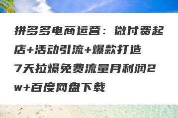 拼多多电商运营：微付费起店+活动引流+爆款打造 7天拉爆免费流量月利润2w+百度网盘下载