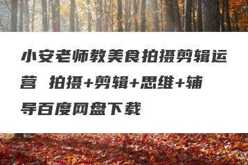 小安老师教美食拍摄剪辑运营 拍摄+剪辑+思维+辅导百度网盘下载