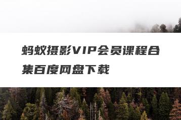 蚂蚁摄影VIP会员课程合集百度网盘下载