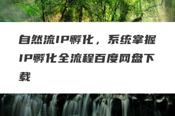 自然流IP孵化，系统掌握IP孵化全流程百度网盘下载