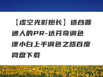 【虚空光影炮长】适合普通人的PR-达芬奇调色课小白上手调色之路百度网盘下载