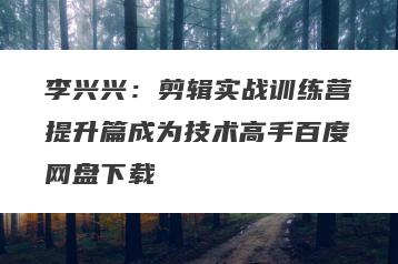 李兴兴：剪辑实战训练营提升篇成为技术高手百度网盘下载