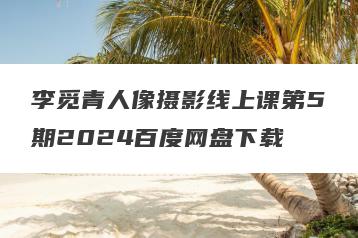 李觅青人像摄影线上课第5期2024百度网盘下载