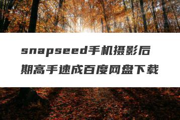snapseed手机摄影后期高手速成百度网盘下载