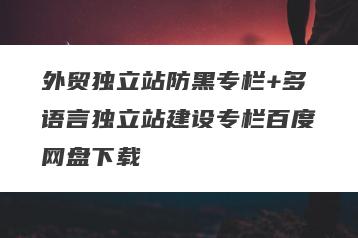 外贸独立站防黑专栏+多语言独立站建设专栏百度网盘下载
