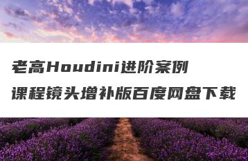 老高Houdini进阶案例课程镜头增补版百度网盘下载