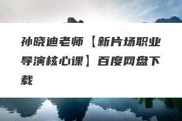 孙晓迪老师【新片场职业导演核心课】百度网盘下载