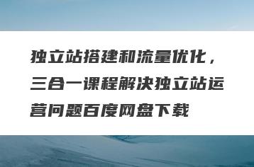 独立站搭建和流量优化，三合一课程解决独立站运营问题百度网盘下载