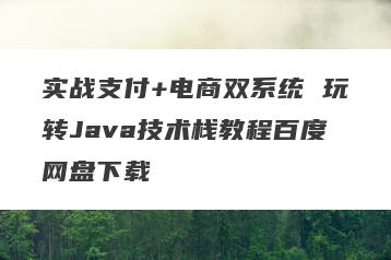 实战支付+电商双系统 玩转Java技术栈教程百度网盘下载