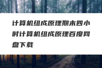 计算机组成原理期末四小时计算机组成原理百度网盘下载