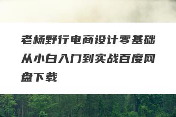 老杨野行电商设计零基础从小白入门到实战百度网盘下载