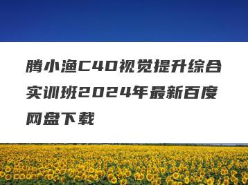 腾小渔C4D视觉提升综合实训班2024年最新百度网盘下载