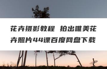花卉摄影教程 拍出唯美花卉照片44课百度网盘下载