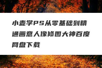 小麦学PS从零基础到精通画意人像修图大神百度网盘下载