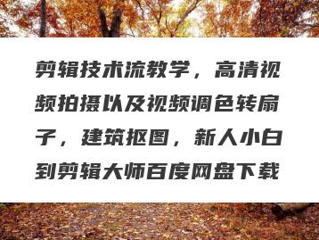 剪辑技术流教学，高清视频拍摄以及视频调色转扇子，建筑抠图，新人小白到剪辑大师百度网盘下载