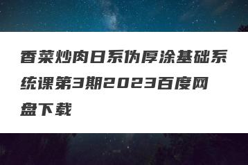 香菜炒肉日系伪厚涂基础系统课第3期2023百度网盘下载