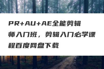 PR+AU+AE全能剪辑师入门班，剪辑入门必学课程百度网盘下载