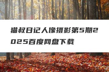 猫叔日记人像摄影第5期2025百度网盘下载