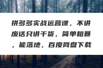 拼多多实战运营课,不讲废话只讲干货,简单粗暴,能落地,百度网盘下载
