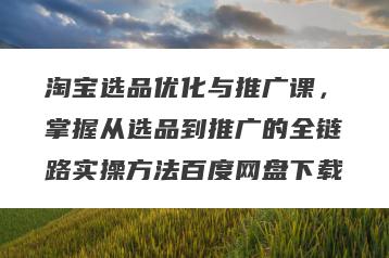 淘宝选品优化与推广课，掌握从选品到推广的全链路实操方法百度网盘下载