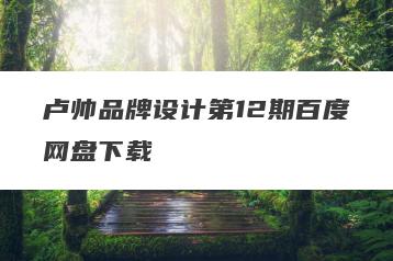 卢帅品牌设计第12期百度网盘下载