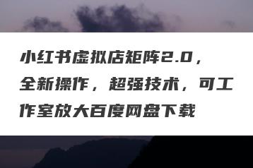 小红书虚拟店矩阵2.0，全新操作，超强技术，可工作室放大百度网盘下载