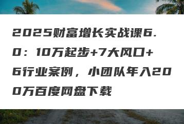 2025财富增长实战课6.0：10万起步+7大风口+6行业案例，小团队年入200万百度网盘下载