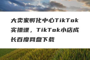 大卖家孵化中心TikTok实操课，TikTok小店成长百度网盘下载