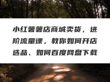 小红薯薯店商城卖货，进阶流量课，教你如何开店选品、如何百度网盘下载