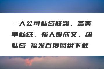 一人公司私域联盟，高客单私域，强人设成交，建私域 搞发百度网盘下载