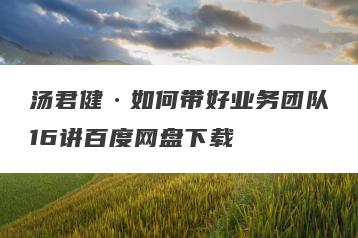 汤君健·如何带好业务团队16讲百度网盘下载