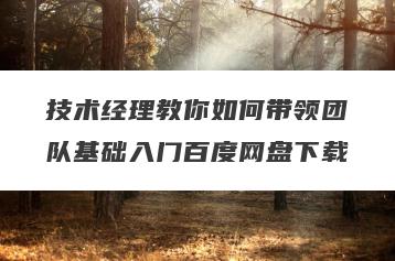 技术经理教你如何带领团队基础入门百度网盘下载