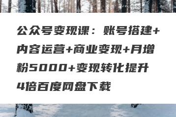 公众号变现课：账号搭建+内容运营+商业变现+月增粉5000+变现转化提升4倍百度网盘下载