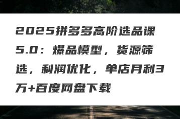 2025拼多多高阶选品课5.0：爆品模型，货源筛选，利润优化，单店月利3万+百度网盘下载
