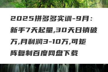 2025拼多多实训-9月：新手7天起量,30天日销破万,月利润3-10万,可矩阵复制百度网盘下载