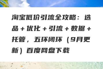 淘宝低价引流全攻略：选品＋优化＋引流＋数据＋托管，五环闭环（9月更新）百度网盘下载