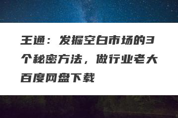 王通：发掘空白市场的3个秘密方法，做行业老大百度网盘下载