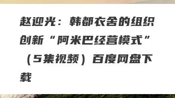 赵迎光：韩都衣舍的组织创新“阿米巴经营模式”（5集视频）百度网盘下载