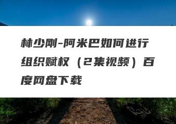 林少刚-阿米巴如何进行组织赋权（2集视频）百度网盘下载