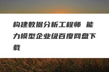 构建数据分析工程师 能力模型企业级百度网盘下载