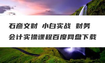 石彦文财稅小白实战 财务会计实操课程百度网盘下载