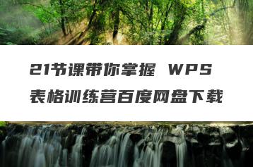 21节课带你掌握 WPS表格训练营百度网盘下载