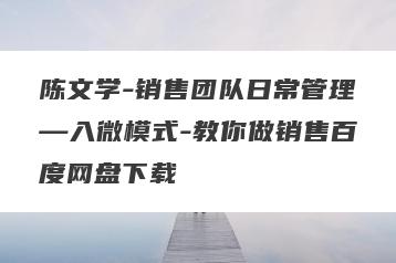 陈文学-销售团队日常管理—入微模式-教你做销售百度网盘下载
