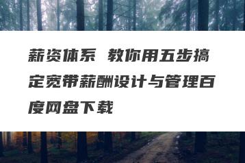 薪资体系 教你用五步搞定宽带薪酬设计与管理百度网盘下载